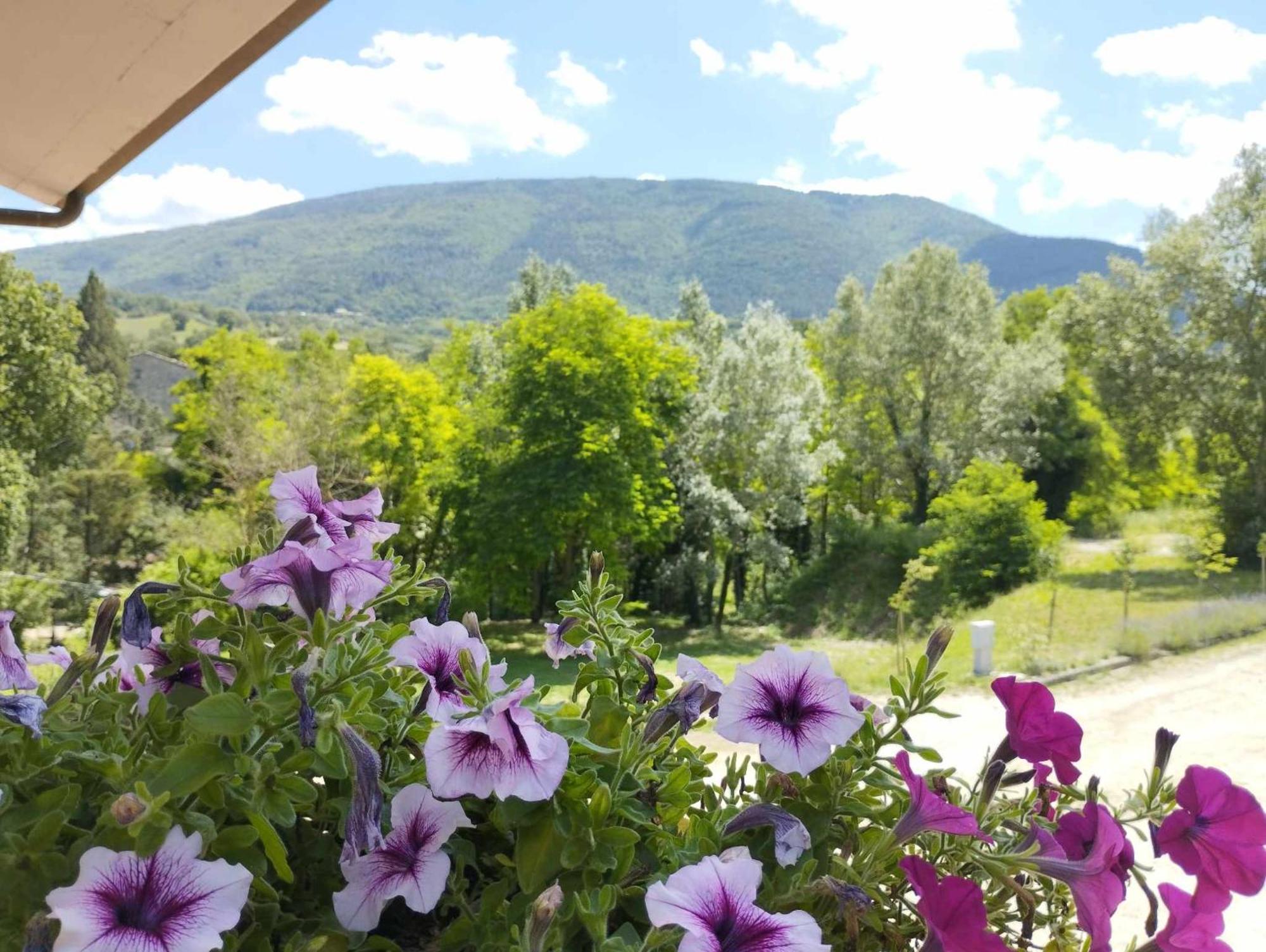 Pianpieve Nature & Relax Apartments Assisi Exterior photo