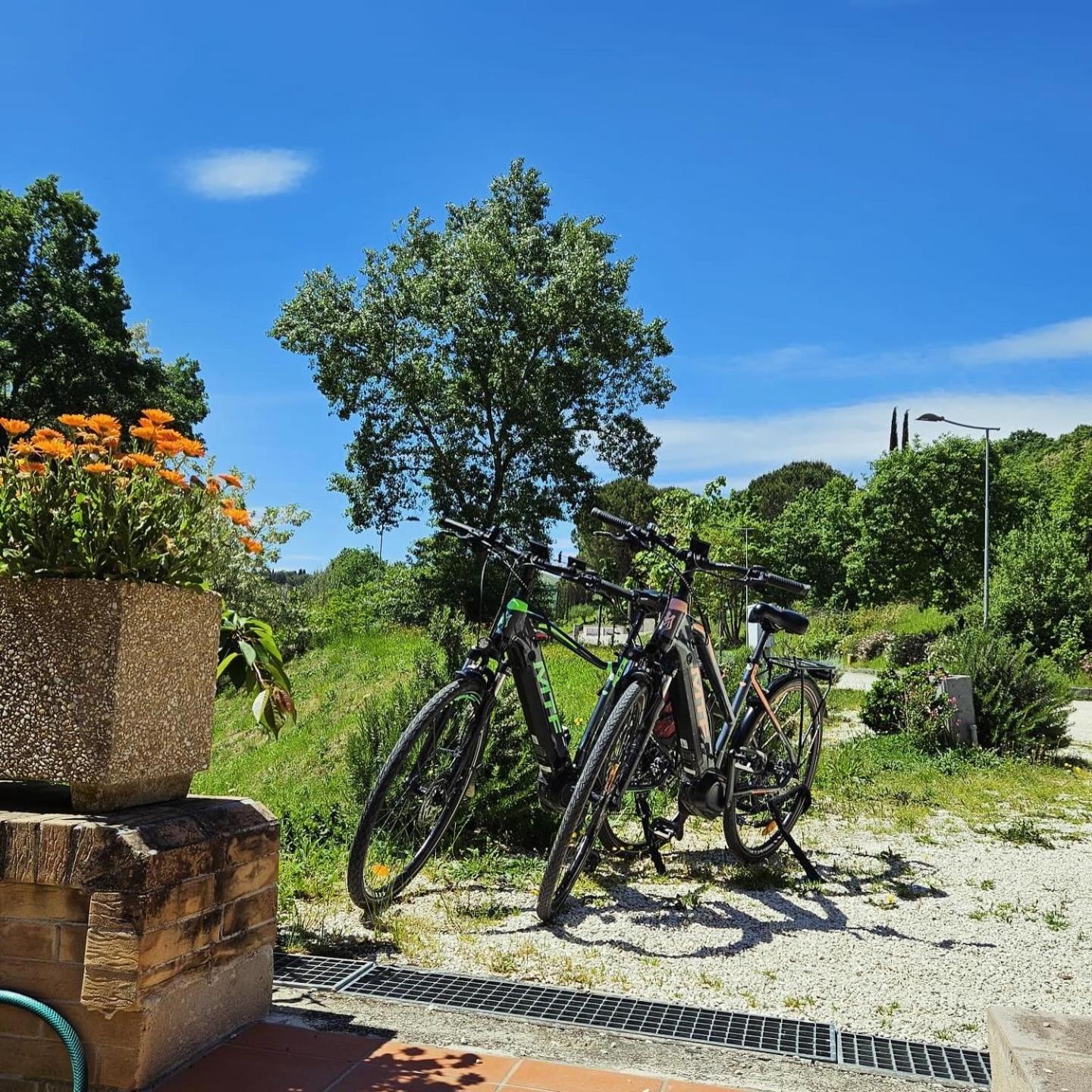 Pianpieve Nature & Relax Apartments Assisi Exterior photo